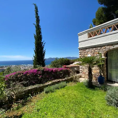 Somptuous Exotic In Villa Cannes